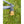 Load image into Gallery viewer, GP Hammer Brass Fitting